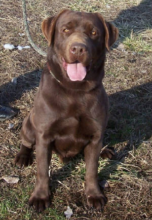 Boone3yrssit.jpg
