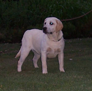 Snooks6mo.JPG