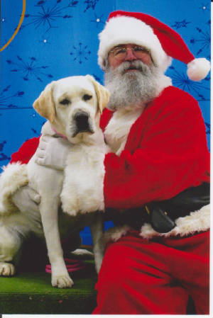 xmas08001.jpg