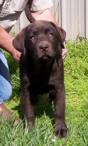 BerganxBoonePeach13wks.jpg