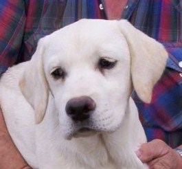 Brennahead021811.jpg