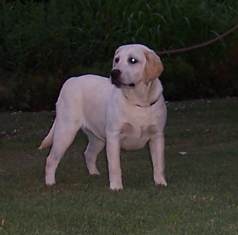 Snooks6mo.JPG